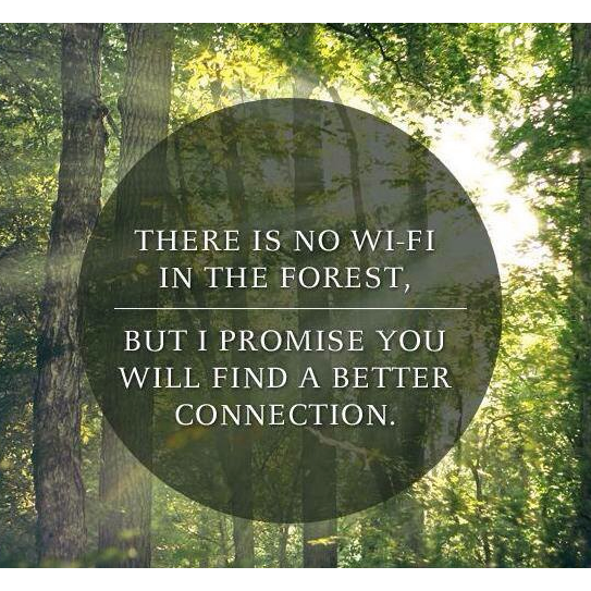 There is no Wi-Fi in the forest – JRS Eco Wireless